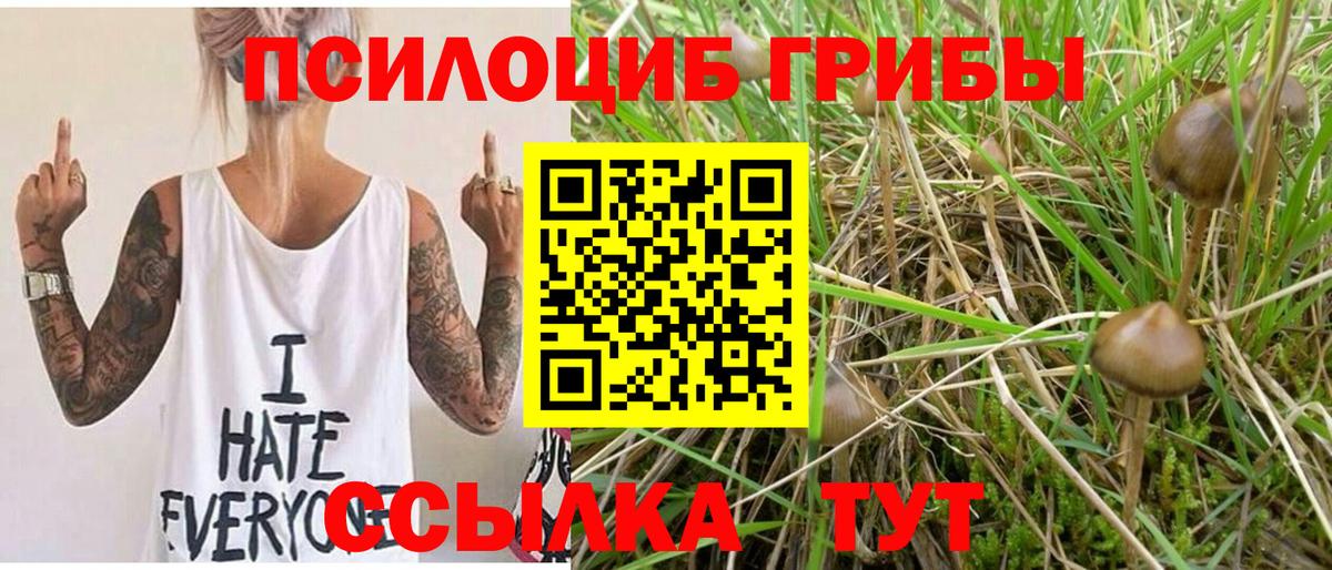 Калуга  Галлюциногенные грибы Psilocybine cubensis  Вход с VPN 