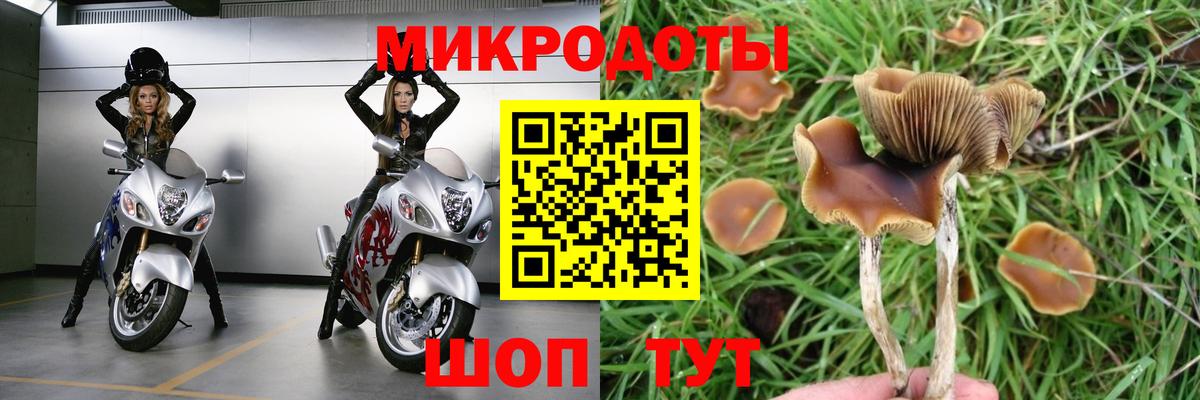 Галлюциногенные грибы прущие грибы Калуга